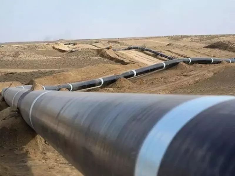 مشروع خط أنبوب الغاز الجزائر_نيجيريا…خطوة هامة لتعزيز التعاون الإفريقي الطاقوي