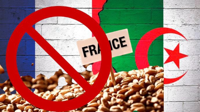 الجزائر تستبعد فرنسا من مناقصة دولية لاستيراد القمح اللين