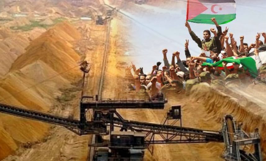 تقرير دولي يفضح “الغسيل الأخضر” للاحتلال المغربي في الصحراء الغربية!