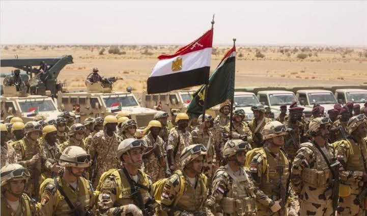 مصر تدعو إلى تشكيل قوة عربية مشتركة لحماية الأمن القومي