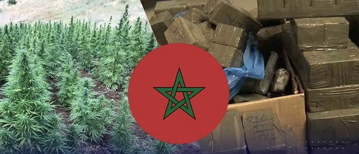 المغرب بؤرة لشبكات المخدرات الدولية وتهديد متصاعد لأمن دول الجوار