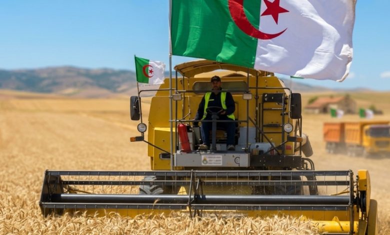 Algeria Ranks First in Africa in 2026 Food System Resilience Index