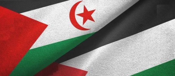 FiSahara 2026 : projection d’un documentaire sahraoui sur les souffrances partagées des peuples sahraoui et palestinien