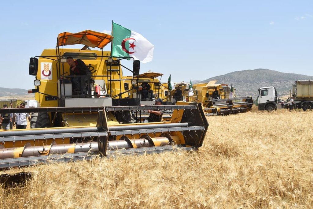 الجزائر تسخر ترسانة فلاحية لإنجاح موسم الحصاد