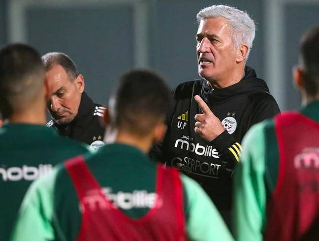 لائحة مونديال 2026.. بيتكوفيتش يراهن على الخبرة والشباب لتحقيق الحلم الجزائري