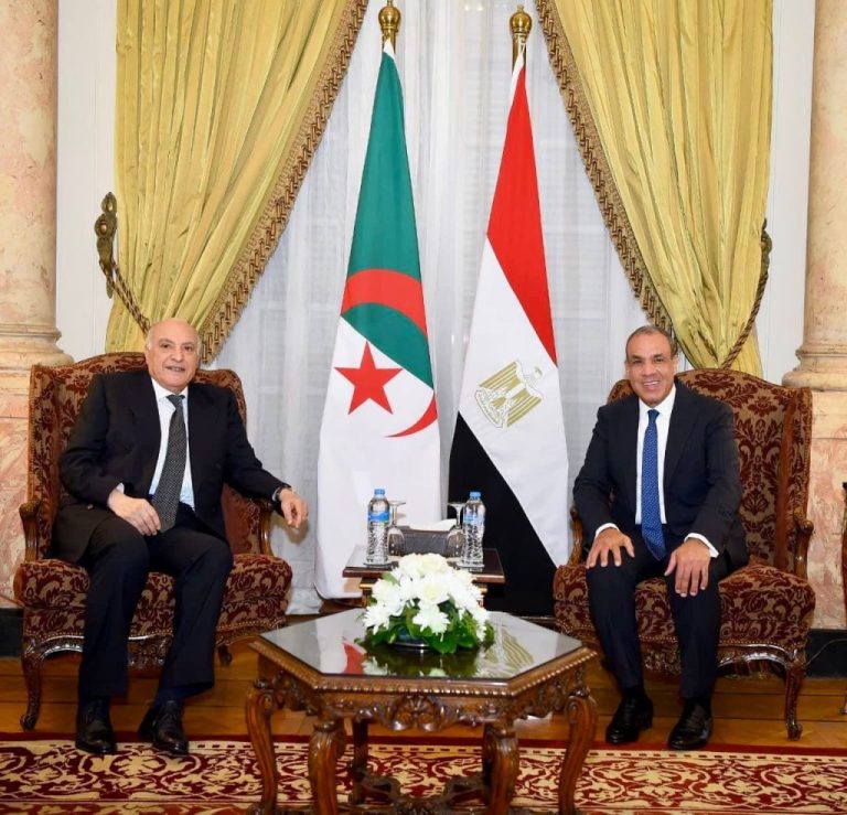 Egyptian Ministry Details Phone Call Between Abdelatty and Attaf