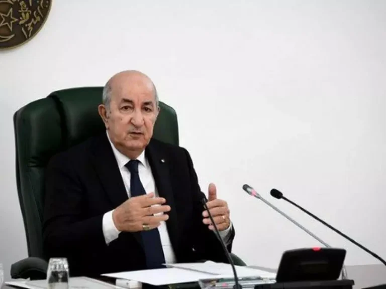 El Mouradia Palace: President Tebboune chairs a Council of Ministers meeting