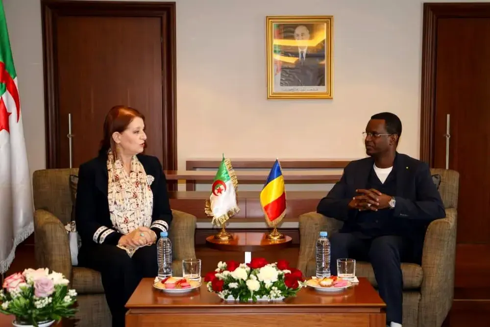 Rencontre entre la ministre du Tourisme et de l’Artisanat et son homologue tchadien