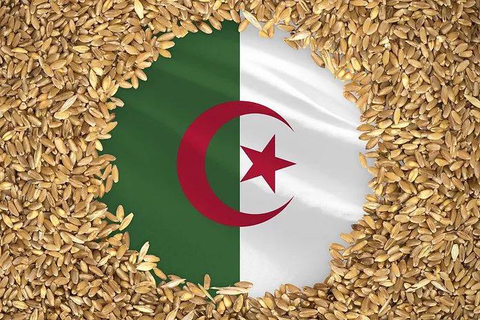 الجزائر تطرح مناقصة دولية لشراء 50 ألف طن من القمح اللين