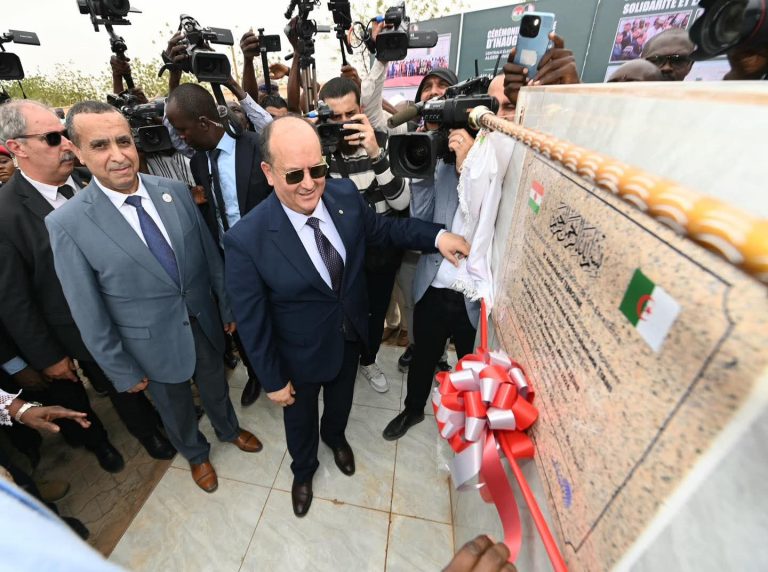 سيفي غريب: تدشين محطة “التضامن” الكهربائية بداية لمسار واعد من المشاريع المشتركة بين الجزائر والنيجر