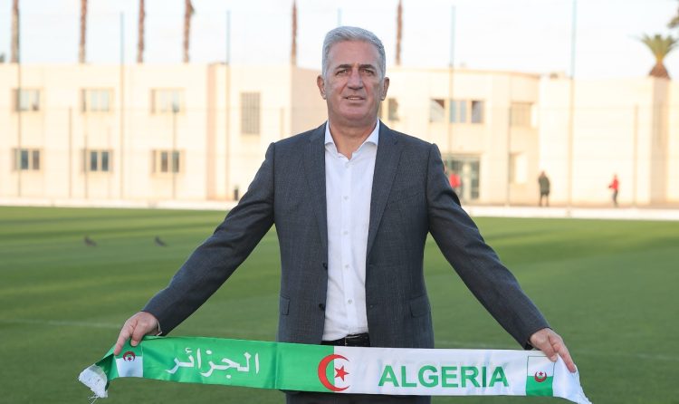 بيتكوفيتش: “تأهلنا إلى المونديال عن جدارة وهدفنا تشريف ألوان الجزائر”