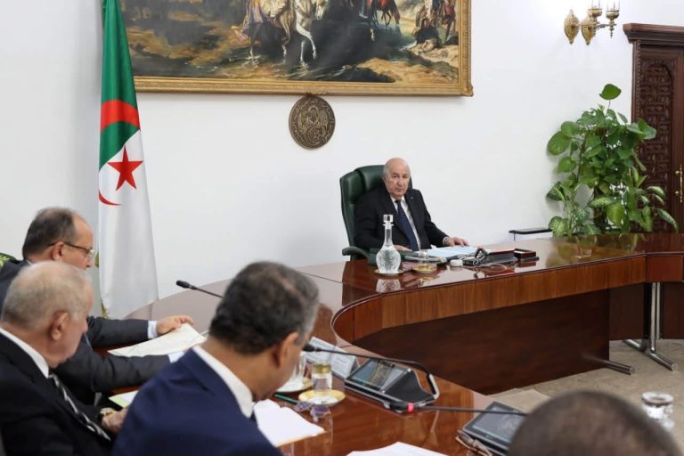 لجنة قطاعية تحت إشراف وزير الخارجية لمتابعة مشاريع الجزائر المتفق عليها مع تشاد والنيجر