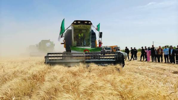 الفاو ترصد موسما زراعيا قويا في الجزائر..