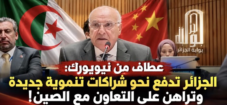 الجزائر تدفع نحو شراكات تنموية جديدة وتراهن على التعاون مع الصين!
