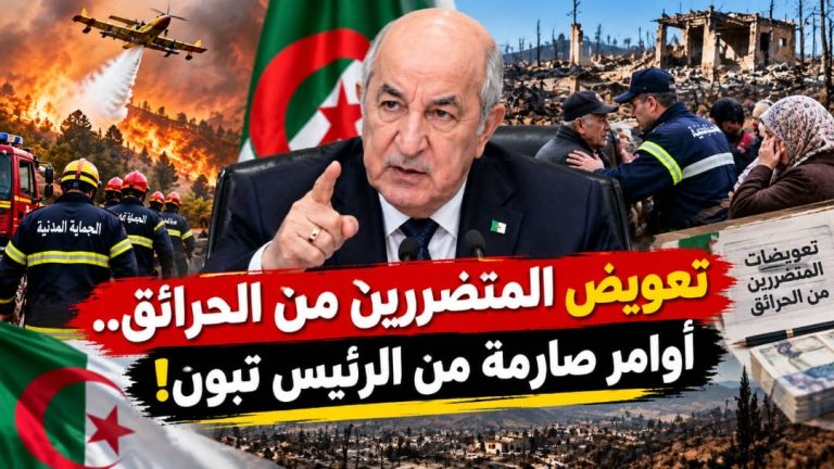 تعويض المتضررين من الحرائق.. أوامر صارمة من الرئيس تبون!